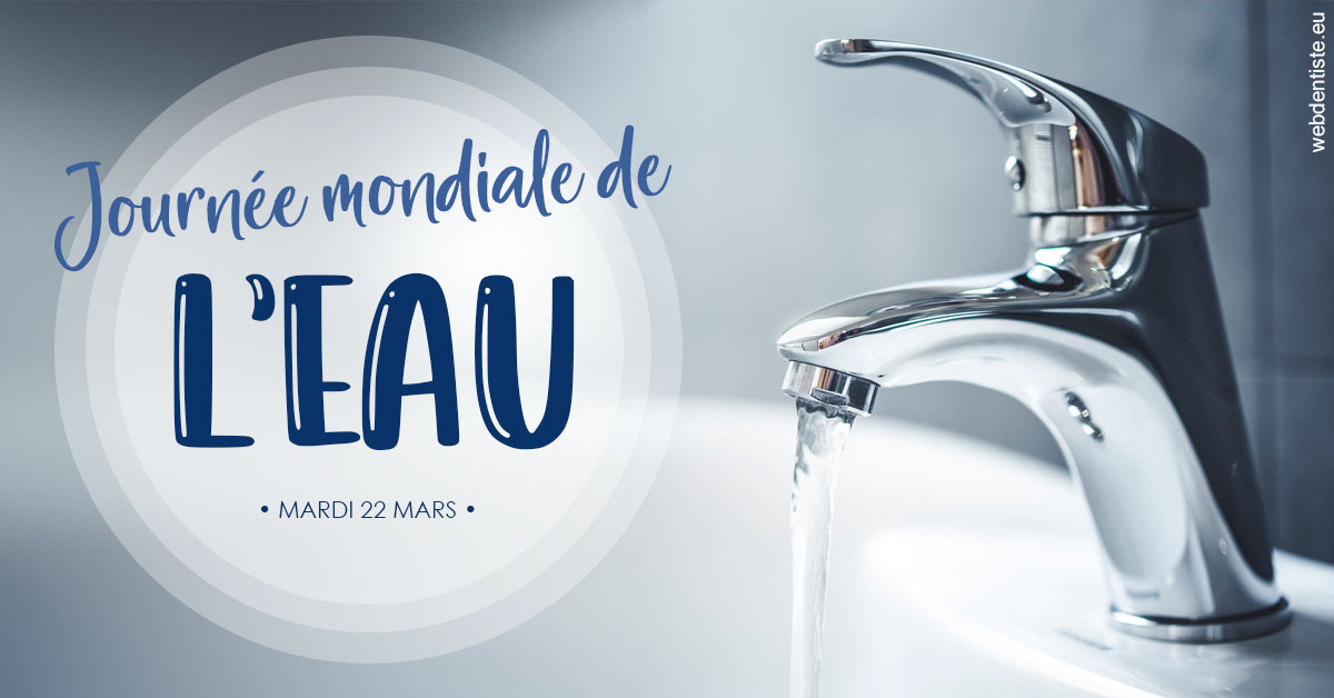 https://dr-crepin-julien.chirurgiens-dentistes.fr/La journée de l'eau 2