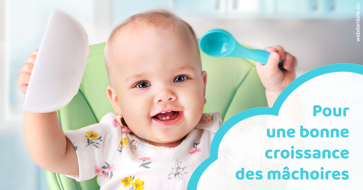 https://dr-crepin-julien.chirurgiens-dentistes.fr/Croissance des mâchoires 2